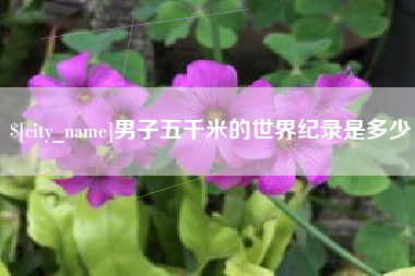 山西男子五千米的世界纪录是多少