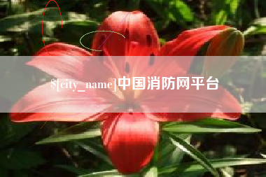 山西中国消防网平台