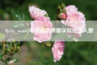 山西中国消防救援学院招生人数