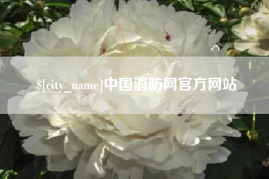 山西中国消防网官方网站