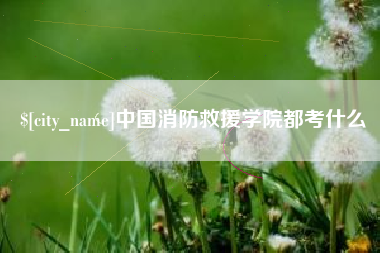 山西中国消防救援学院都考什么
