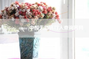 山西中国失信执行人查询官网