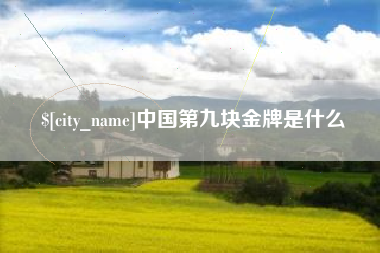 山西中国第九块金牌是什么