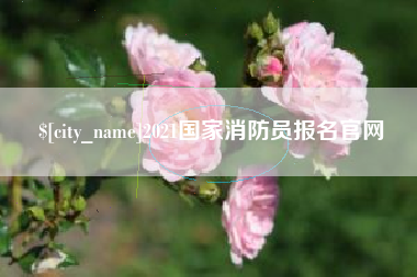 山西2021国家消防员报名官网