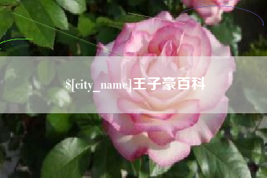 山西王子豪百科