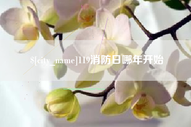 山西119消防日哪年开始