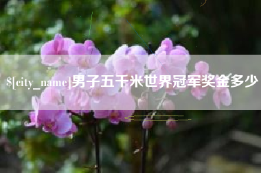 山西男子五千米世界冠军奖金多少