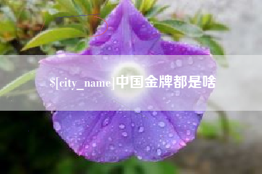山西中国金牌都是啥