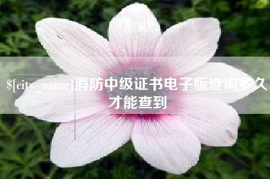 山西消防中级证书电子版查询多久才能查到