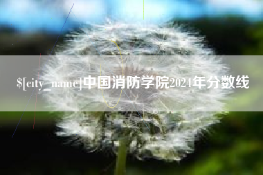 山西中国消防学院2024年分数线