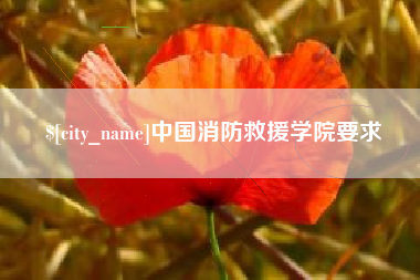 山西中国消防救援学院要求