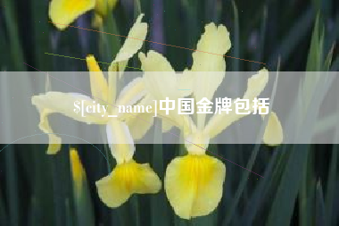 山西中国金牌包括