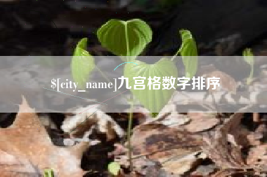 山西九宫格数字排序