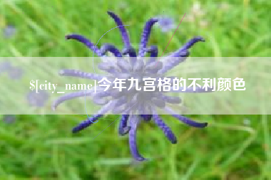 山西今年九宫格的不利颜色