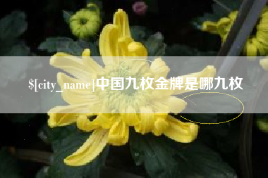 山西中国九枚金牌是哪九枚