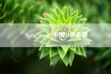 山西中国19块金牌