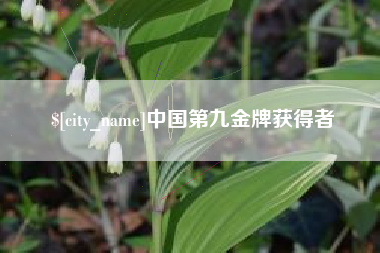 山西中国第九金牌获得者