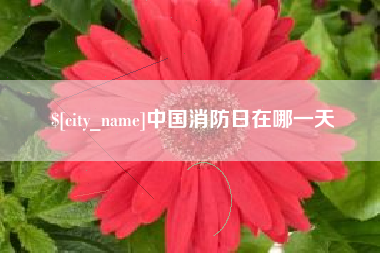 山西中国消防日在哪一天