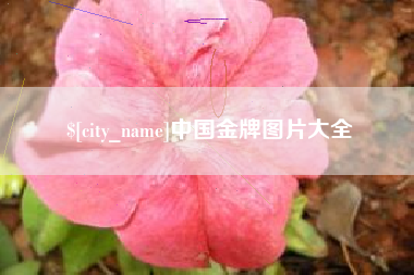 山西中国金牌图片大全