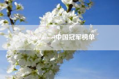 山西中国冠军榜单