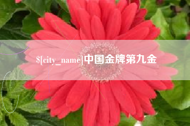 山西中国金牌第九金