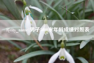 山西男子5000米年龄成绩对照表