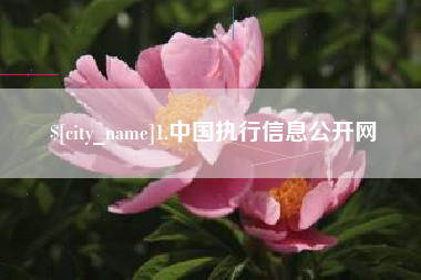 山西1.中国执行信息公开网