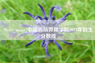山西中国消防救援学院2024年招生分数线
