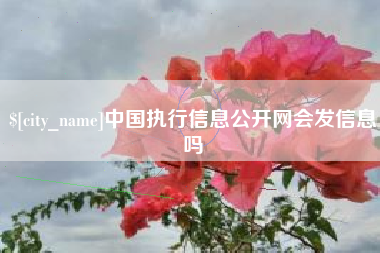 山西中国执行信息公开网会发信息吗