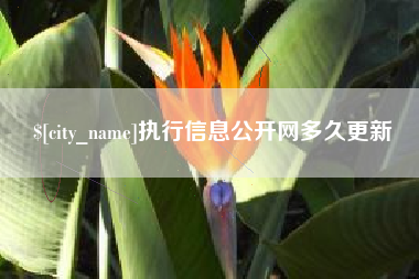 山西执行信息公开网多久更新
