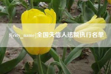 山西全国失信人法院执行名单