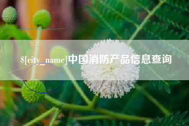 山西中国消防产品信息查询