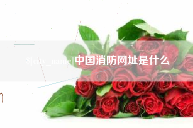 山西中国消防网址是什么