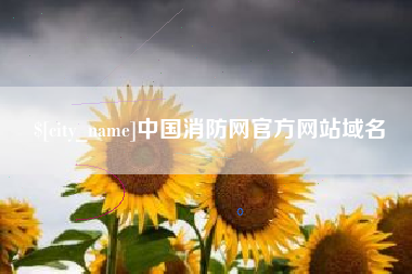 山西中国消防网官方网站域名