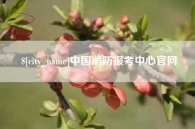 山西中国消防报考中心官网
