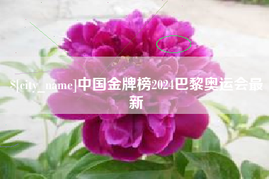 山西中国金牌榜2024巴黎奥运会最新