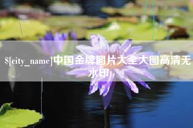 山西中国金牌图片大全大图高清无水印