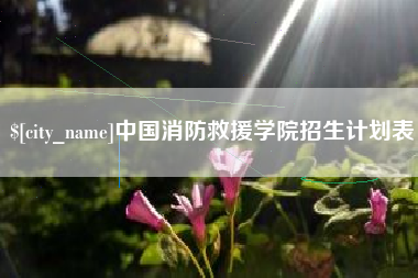 山西中国消防救援学院招生计划表