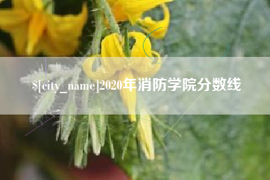 山西2020年消防学院分数线