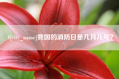 山西我国的消防日是几月几号？