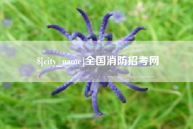 山西全国消防招考网
