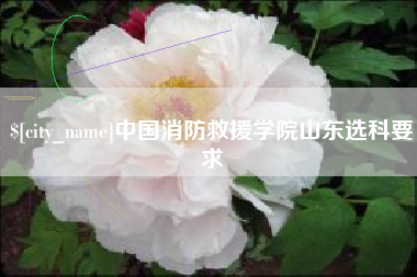 山西中国消防救援学院山东选科要求