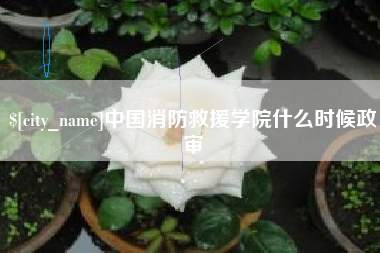 山西中国消防救援学院什么时候政审