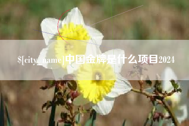 山西中国金牌是什么项目2024