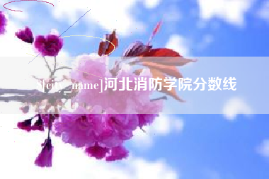 山西河北消防学院分数线