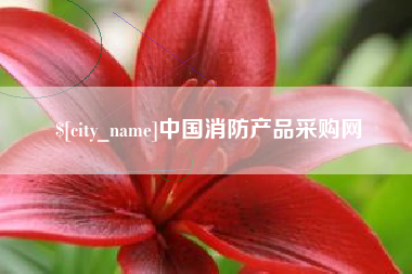 山西中国消防产品采购网