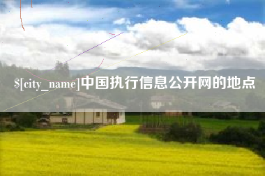 山西中国执行信息公开网的地点