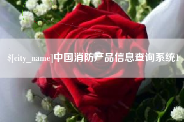 山西中国消防产品信息查询系统1