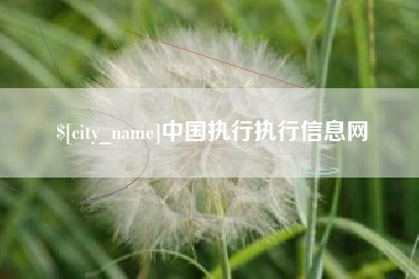 山西中国执行执行信息网