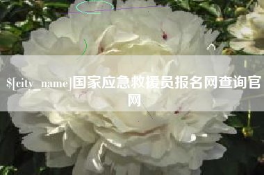 山西国家应急救援员报名网查询官网